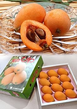 Amazon.co.jp: 長崎県産 茂木びわ 温室枇杷 L～2Lサイズ 9～15玉
